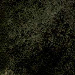 Satellite imagery of Fork Ridge, US