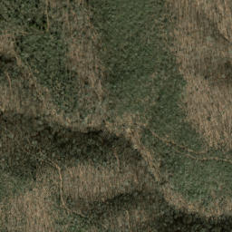 Satellite imagery of Mingus Ridge, US