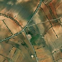Satellite imagery of Djebel Maloued, DZ