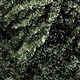 Satellite imagery of survey_point, JP