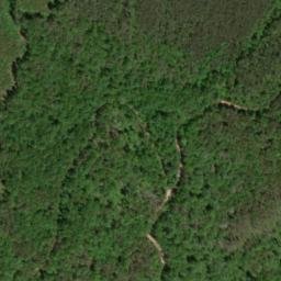 Satellite imagery of Yellow Cliff, US