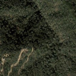 Satellite imagery of Bearwallow Ridge, US