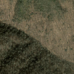 Satellite imagery of Mingus Ridge, US