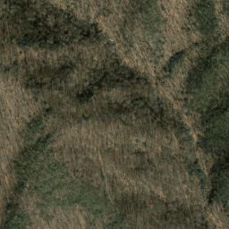 Satellite imagery of Mingus Ridge, US