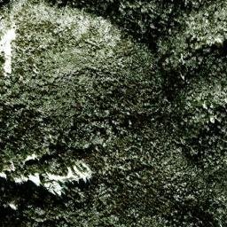 Satellite imagery of survey_point, JP