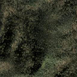 Satellite imagery of Firescald Ridge, US