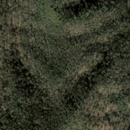 Satellite imagery of Firescald Ridge, US