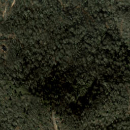 Satellite imagery of Bearwallow Ridge, US