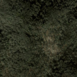 Satellite imagery of Bearwallow Ridge, US