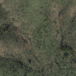 Satellite imagery of Chestnut Cove Overlook, US