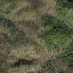 Satellite imagery of Fork Ridge, US