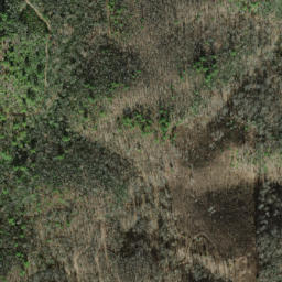 Satellite imagery of Fork Ridge, US