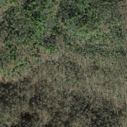 Satellite imagery of Fork Ridge, US
