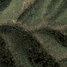 Satellite imagery of Firescald Ridge, US
