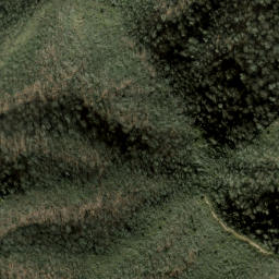 Satellite imagery of Firescald Ridge, US