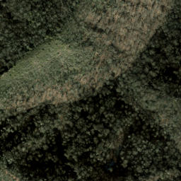 Satellite imagery of Firescald Ridge, US