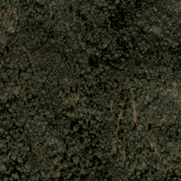 Satellite imagery of Plott Balsams, US