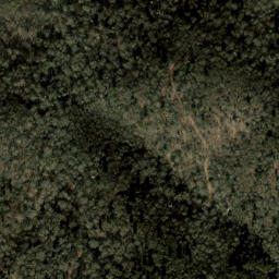 Satellite imagery of Plott Balsams, US