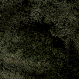 Satellite imagery of Plott Balsams, US
