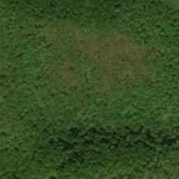 Satellite imagery of Cowcamp Ridge, US