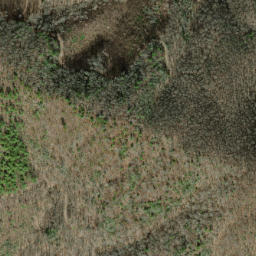 Satellite imagery of Fork Ridge, US