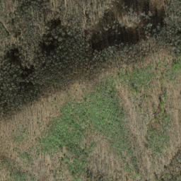 Satellite imagery of Fork Ridge, US