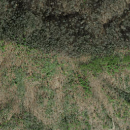 Satellite imagery of Fork Ridge, US