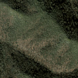 Satellite imagery of Firescald Ridge, US