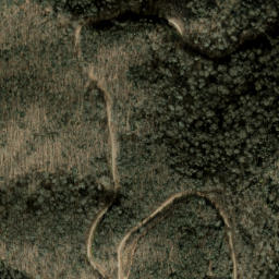 Satellite imagery of Firescald Ridge, US