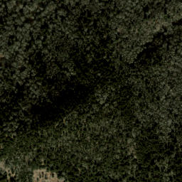 Satellite imagery of Plott Balsams, US