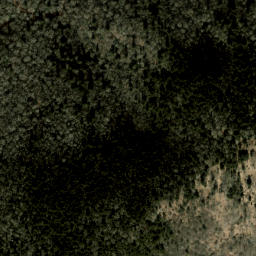 Satellite imagery of Plott Balsams, US