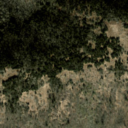 Satellite imagery of Plott Balsams, US
