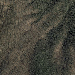 Satellite imagery of Fannie Ridge, US