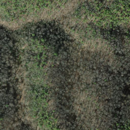 Satellite imagery of Hangover Lead, US