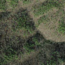 Satellite imagery of Hangover Lead, US