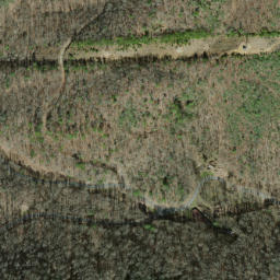 Satellite imagery of Fork Ridge, US