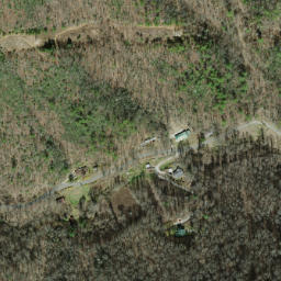Satellite imagery of Fork Ridge, US