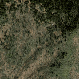 Satellite imagery of Plott Balsams, US
