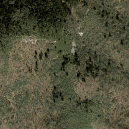 Satellite imagery of Plott Balsams, US