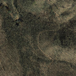 Satellite imagery of Chestnut Ridge, US