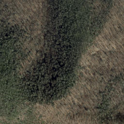 Satellite imagery of Fannie Ridge, US