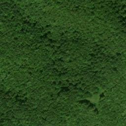 Satellite imagery of Cowcamp Ridge, US