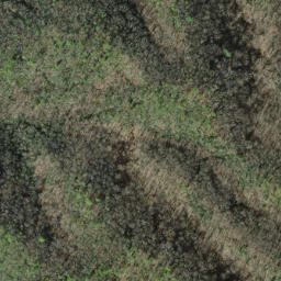 Satellite imagery of Caney Lead, US