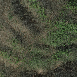 Satellite imagery of Caney Lead, US