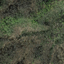 Satellite imagery of Caney Lead, US