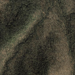 Satellite imagery of Chestnut Ridge, US