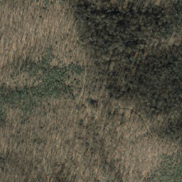 Satellite imagery of Trace Ridge, US