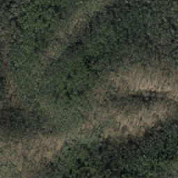 Satellite imagery of Trace Ridge, US