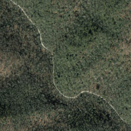 Satellite imagery of Trace Ridge, US