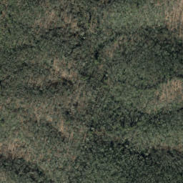 Satellite imagery of Brushy Ridge, US